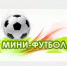 Кубок МО Алапаевское по зимнему мини-футболу среди команд МО Алапаевское - МО Алапаевское