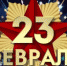 Поздравление с 23 февраля - МО Алапаевское
